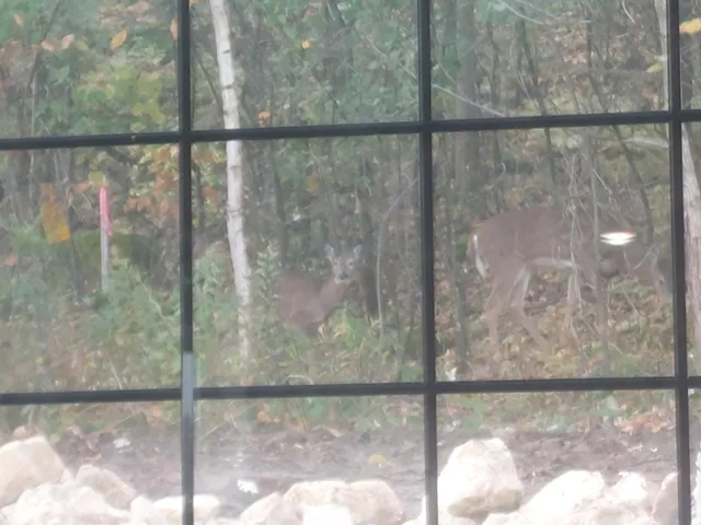 $459,900 | 2563 Clubhouse Drive, Lake City, MN 55041