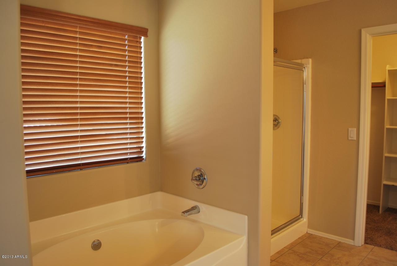 3809 East Chickadee Road Gilbert, AZ 85297 - Photo 8 of 17 Master Bathroom