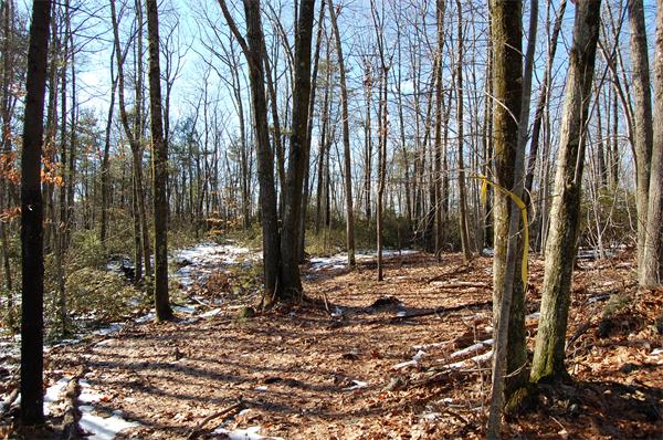 4 Buteau Road Spencer, MA 01562 - Photo 3 of 6 Gallery Image 3