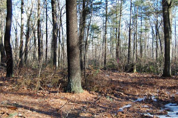 4 Buteau Road Spencer, MA 01562 - Photo 4 of 6 Gallery Image 4