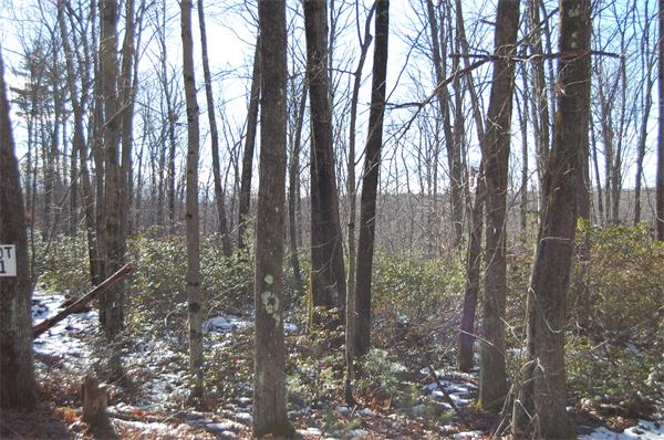 4 Buteau Road Spencer, MA 01562 - Photo 6 of 6 Gallery Image 6