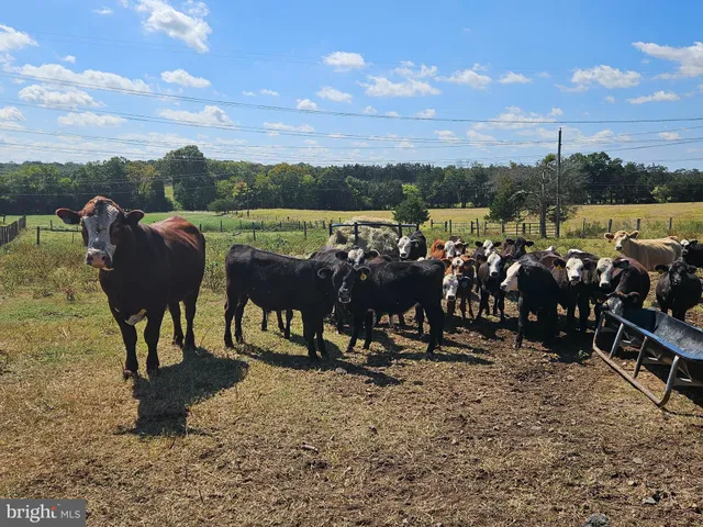 $6,000,000 | 5474 Woodside Lane, Bealeton, VA 22712