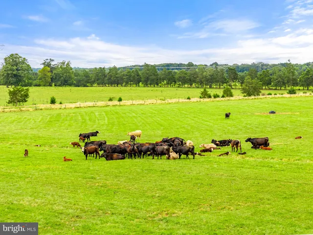 a view of an outdoor space and a lake view