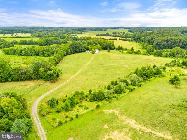 a view of a swimming pool from a garden