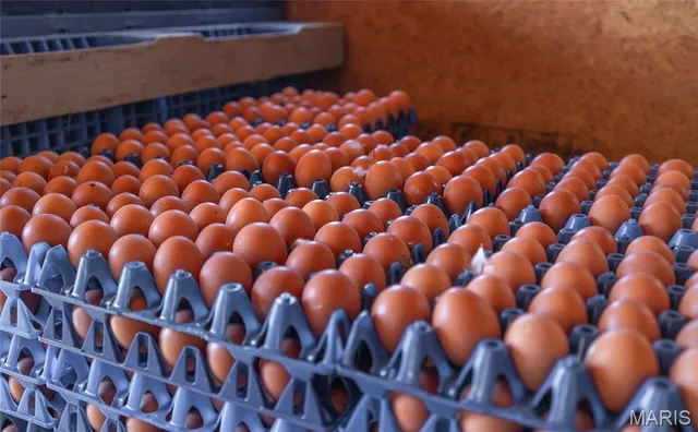 $499,000 | 25251 Highway O Unincorporated Mo 65650, Flemington, MO 65650