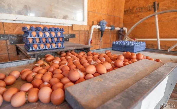 $499,000 | 25251 Highway O Unincorporated Mo 65650, Flemington, MO 65650