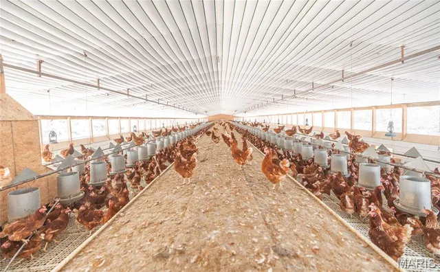 $499,000 | 25251 Highway O Unincorporated Mo 65650, Flemington, MO 65650