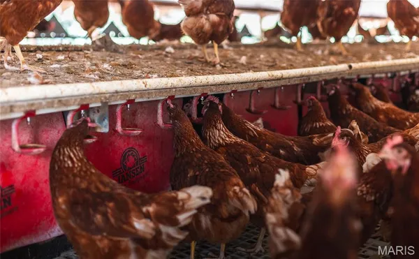 $499,000 | 25251 Highway O Unincorporated Mo 65650, Flemington, MO 65650