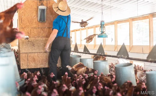 $499,000 | 25251 Highway O Unincorporated Mo 65650, Flemington, MO 65650