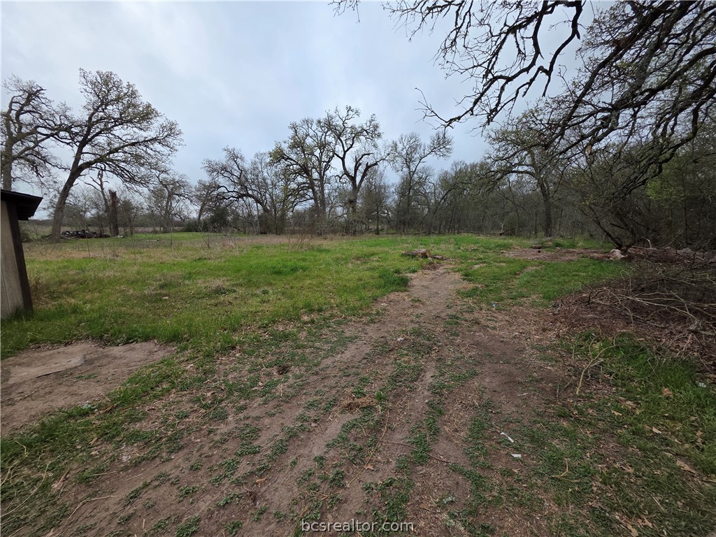 3815 Luza Lane Bryan, TX 77807 - Photo 18 of 18 a view of outdoor space with green field and trees