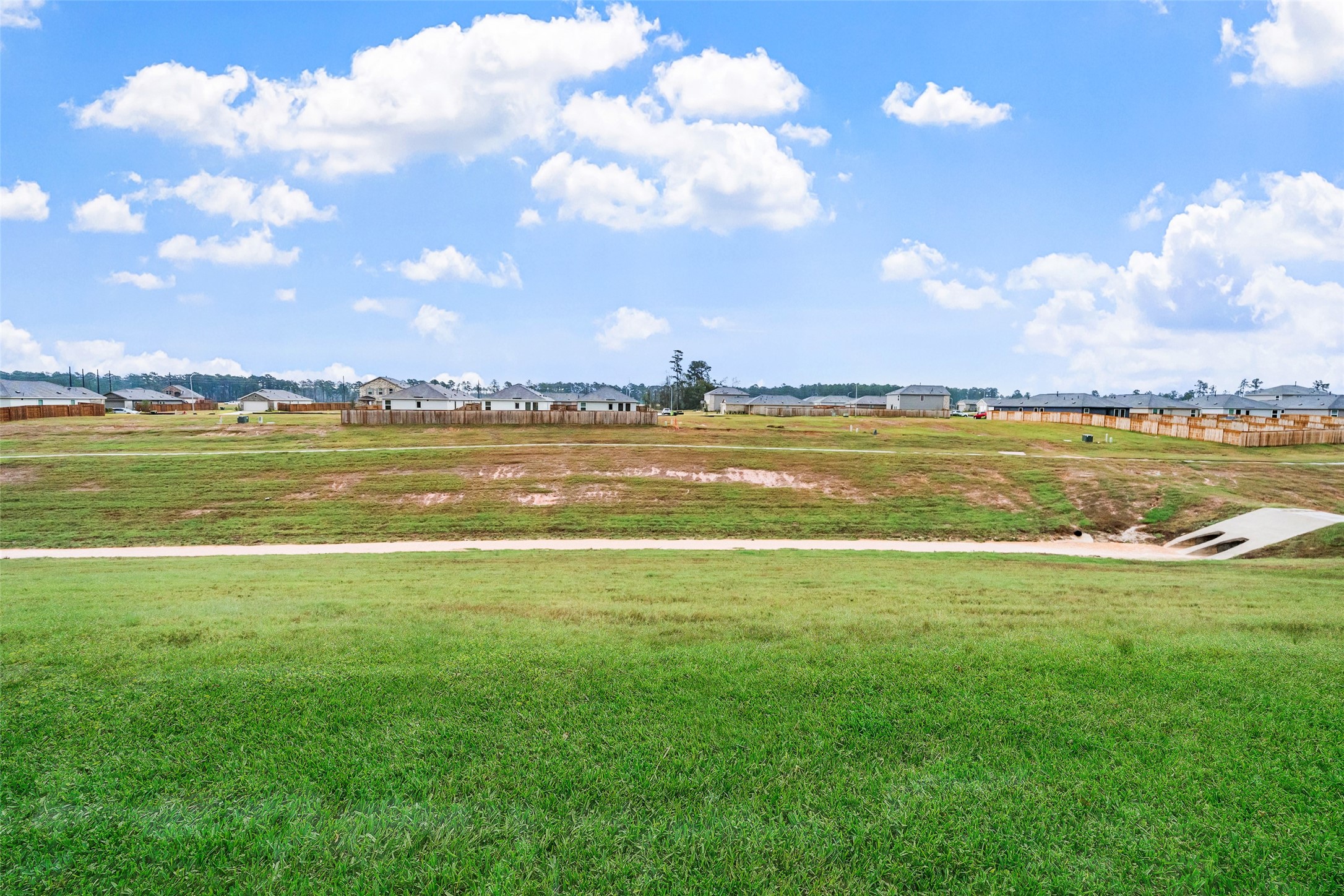 744 Autumn Cherry Trail Magnolia, TX 77354 - Photo 23 of 23