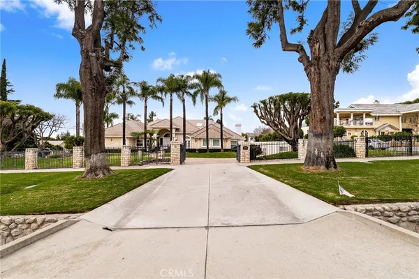a view of a yard with palm trees