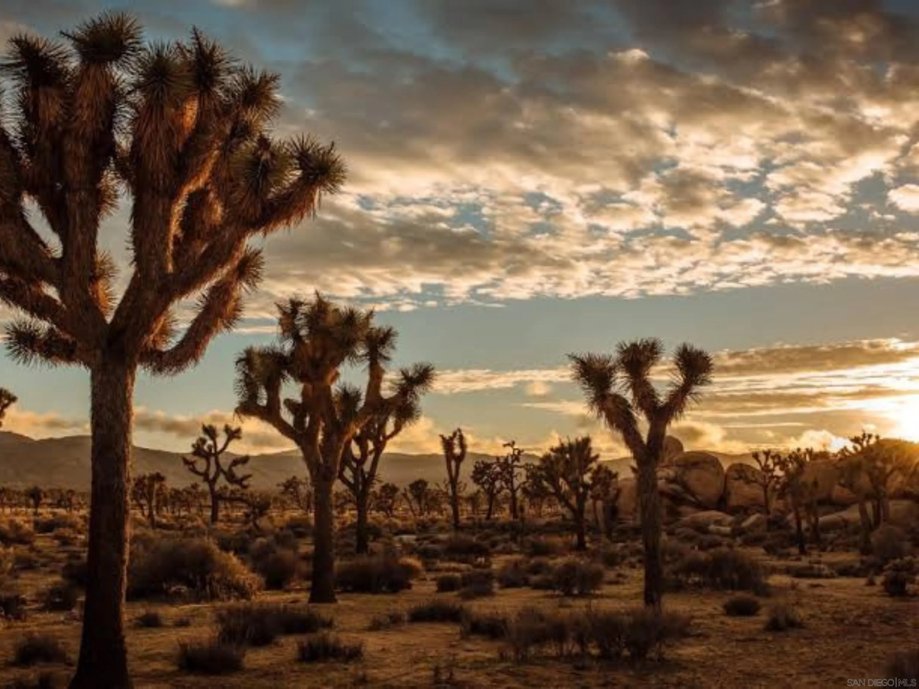 8022 Wesley Road Joshua Tree, CA 92252 - Photo 69 of 71