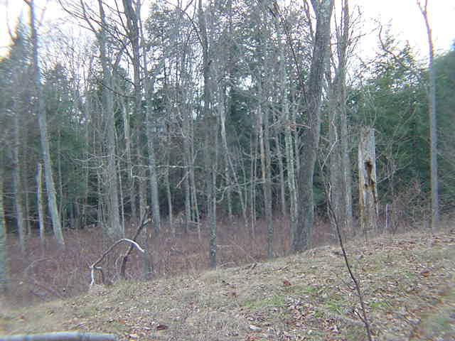 1 Butternut Ridge Sterling, PA 18463 - Photo 3 of 5
