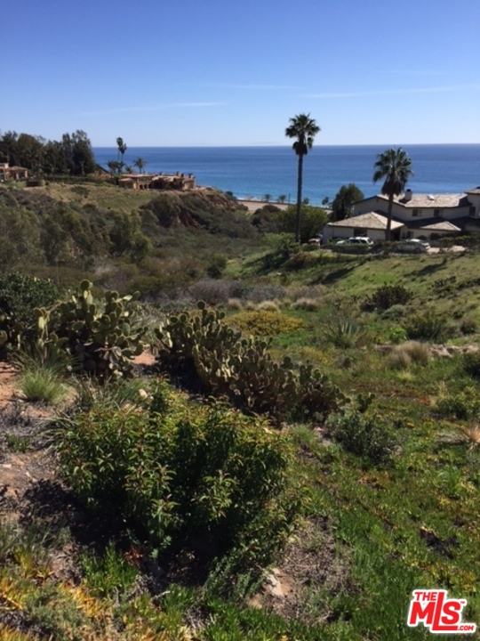 0 Looschen Road Malibu, CA 90265 - Photo 1 of 4 Gallery Image 1