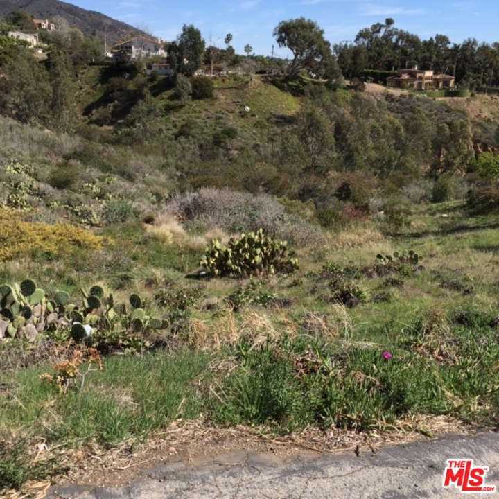 0 Looschen Road Malibu, CA 90265 - Photo 4 of 4 Gallery Image 4