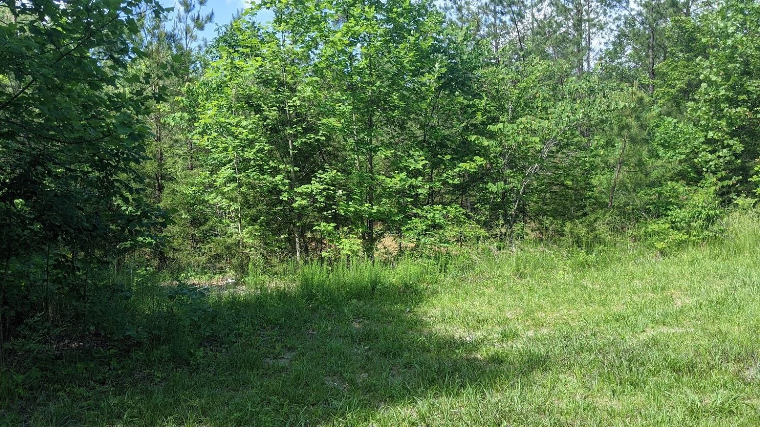 0 Rock Vw Road Pall Mall, TN 38577 - Photo 12 of 12