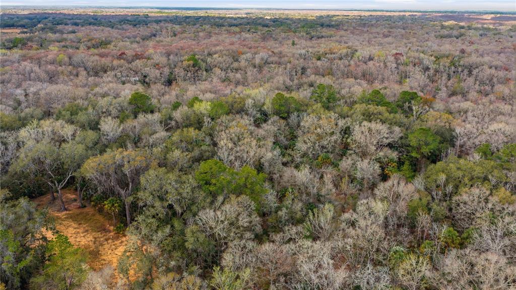 598 South Chambers Way Inverness, FL 34450 - Photo 4 of 5