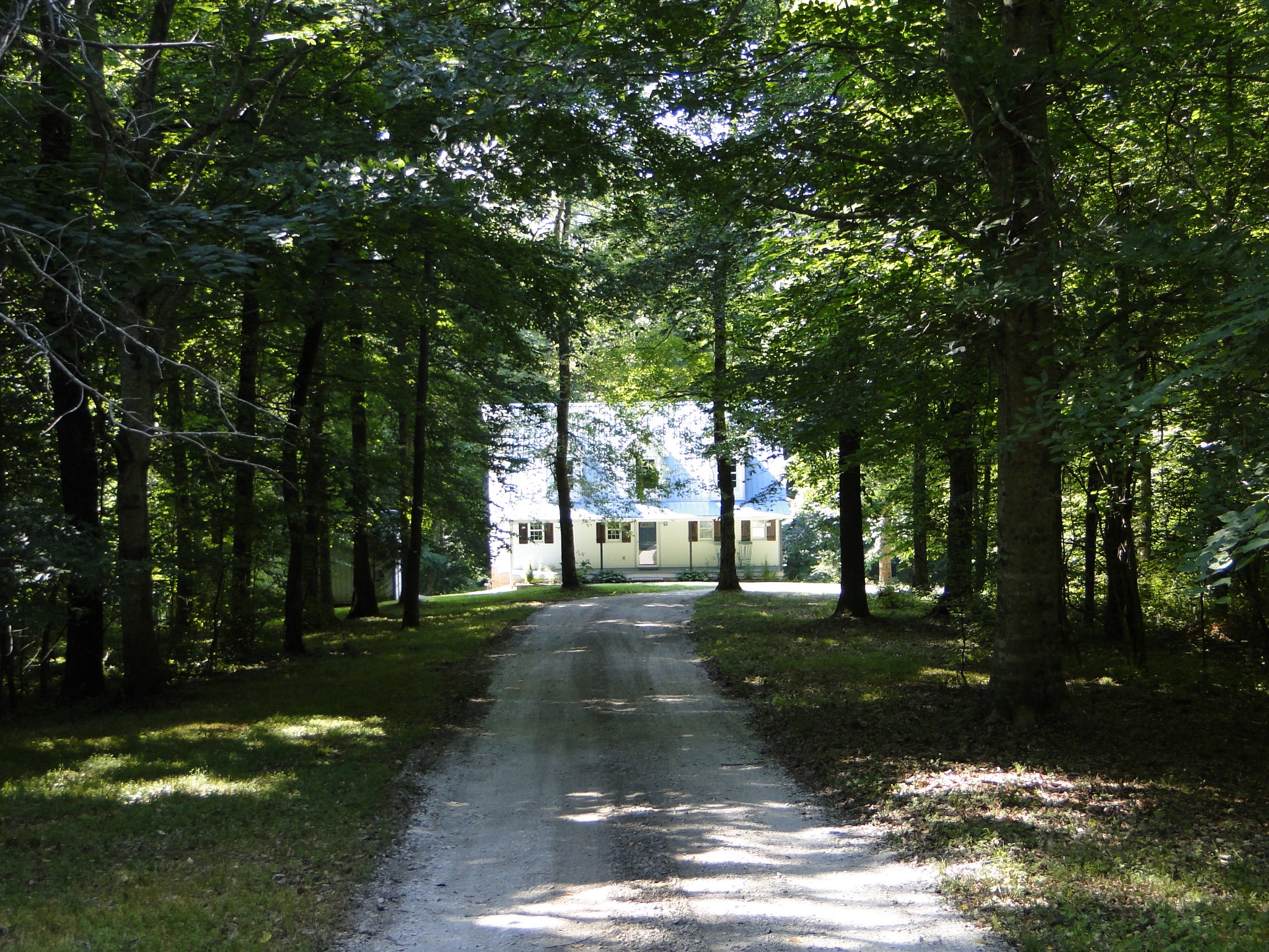 1803 East Piney Road Dickson, TN 37055 - Photo 4 of 46 a view of a park with tree s
