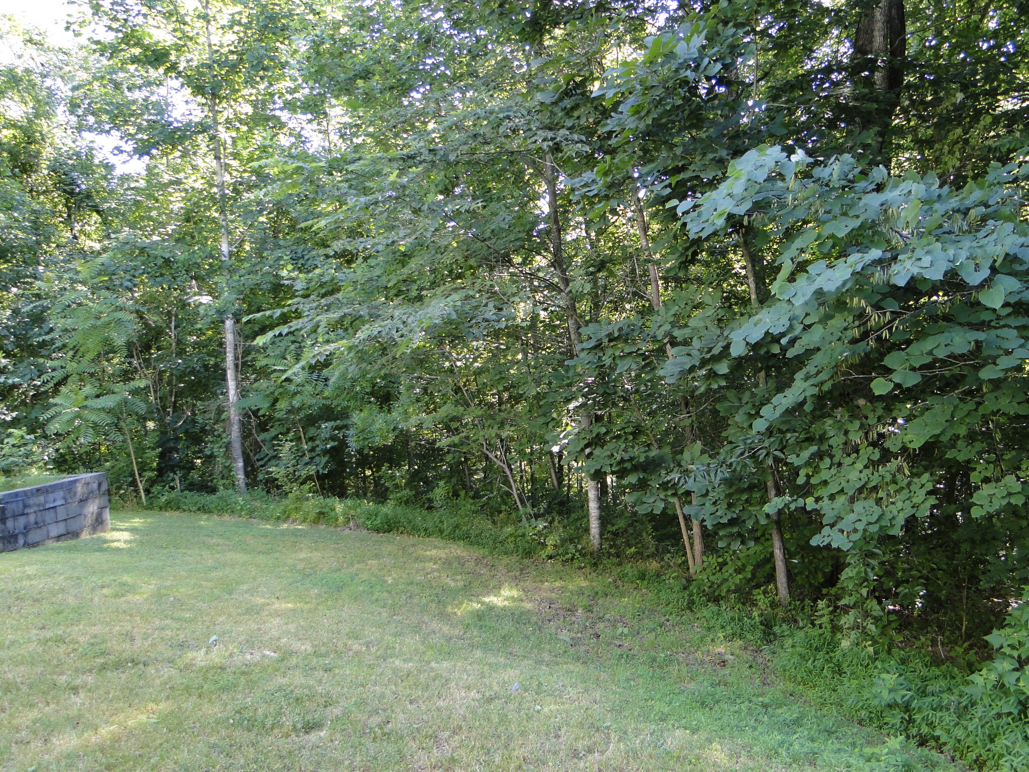 1803 East Piney Road Dickson, TN 37055 - Photo 40 of 46 a big yard with lots of green space and house