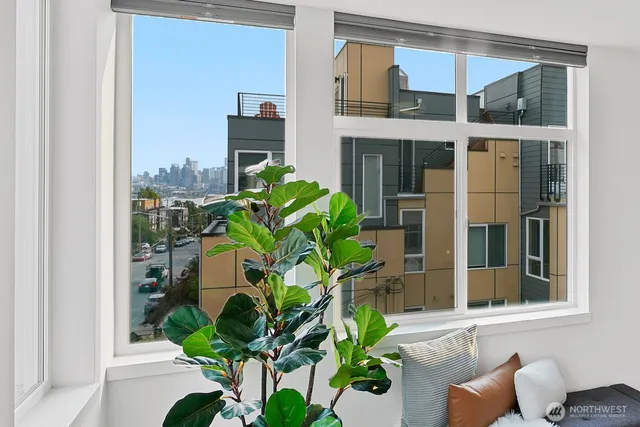 a plant sitting in front of a house