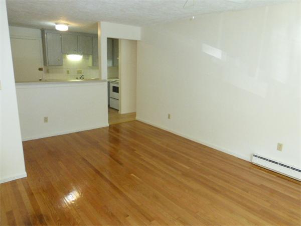 30 Hamilton Road, Unit 201 Arlington, MA 02474 - Photo 5 of 16 Gallery Image 5