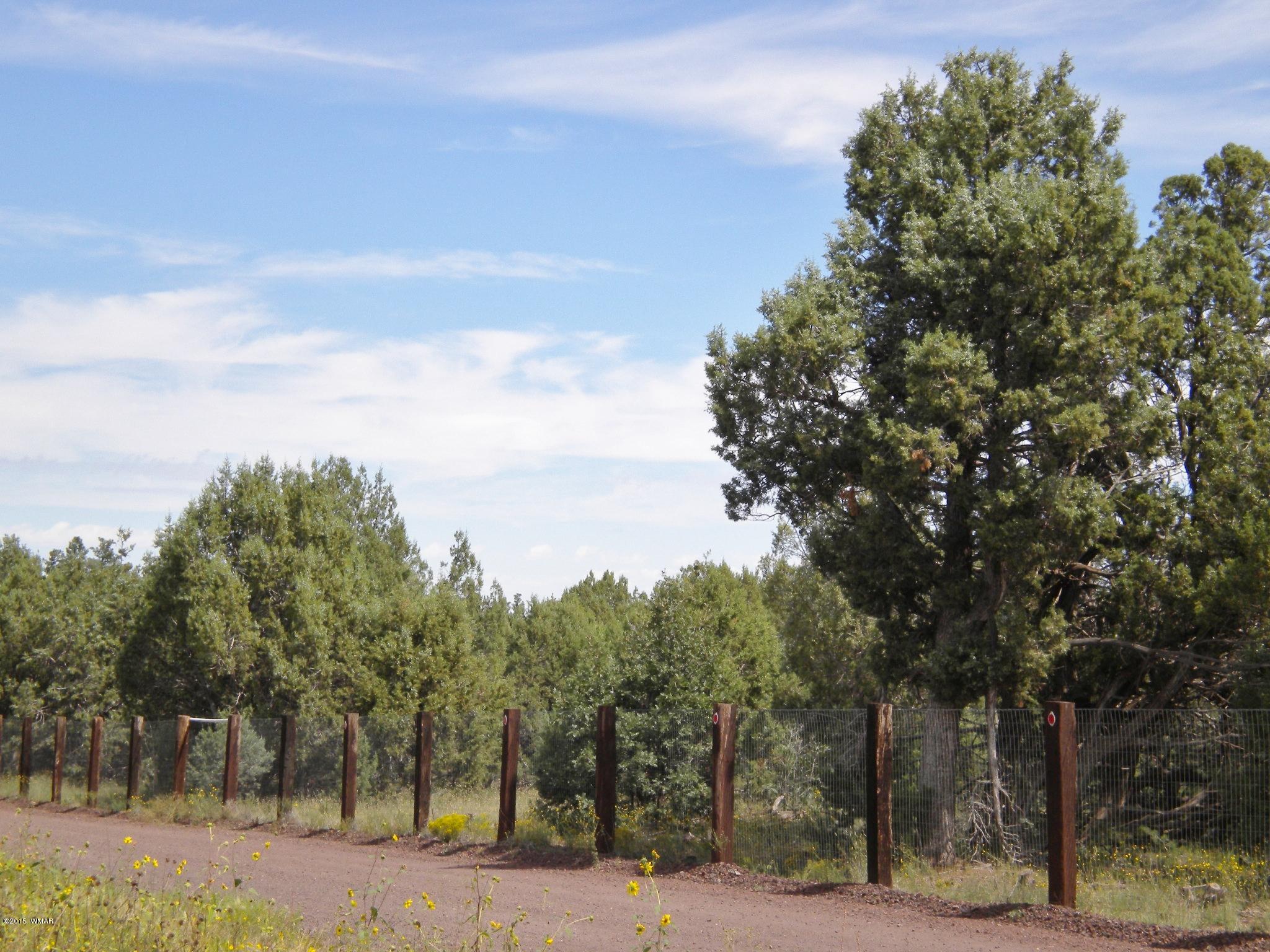Tbd Tosca Place Pinedale, AZ 85934 - Photo 1 of 28