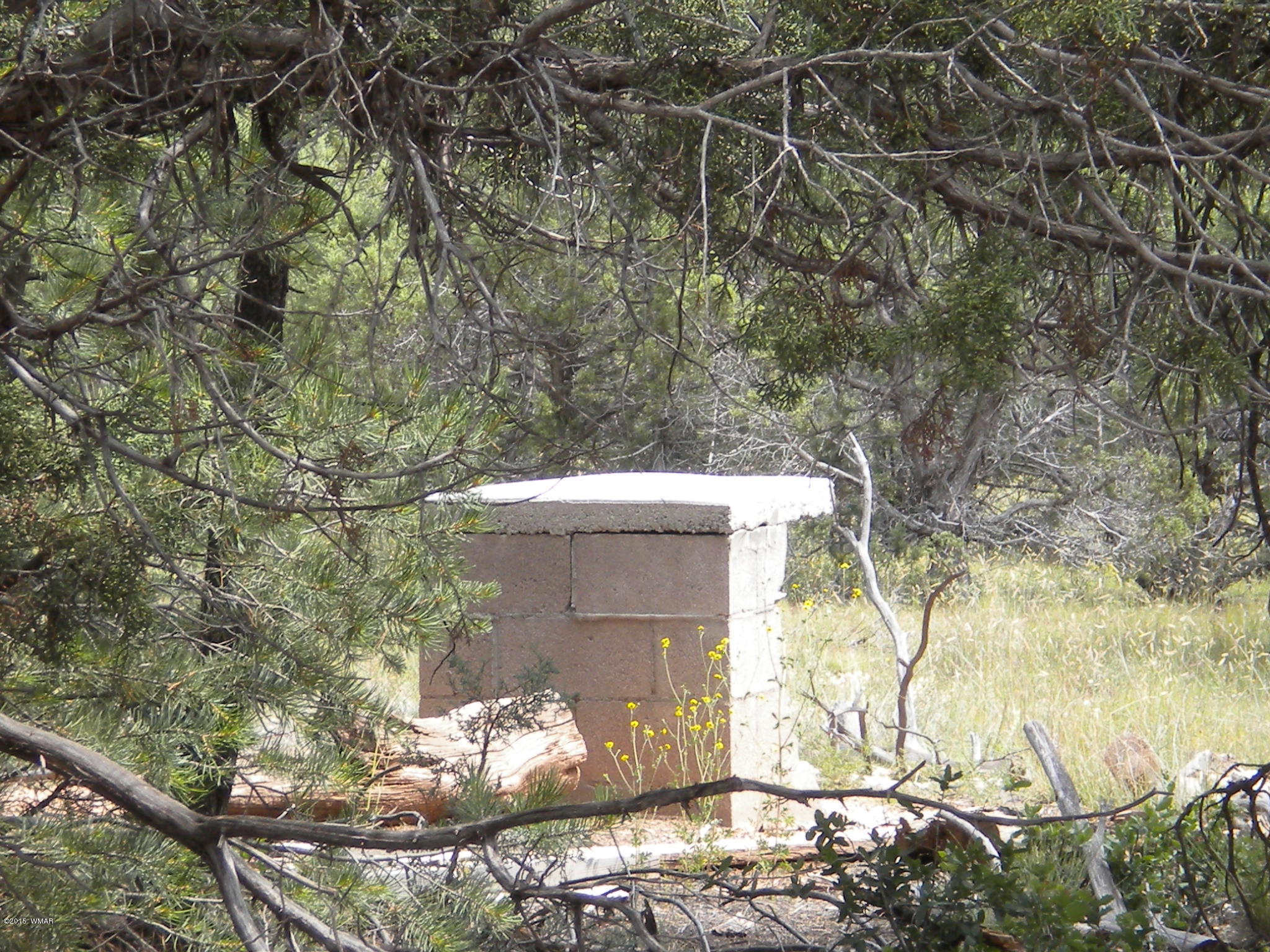 Tbd Tosca Place Pinedale, AZ 85934 - Photo 12 of 28