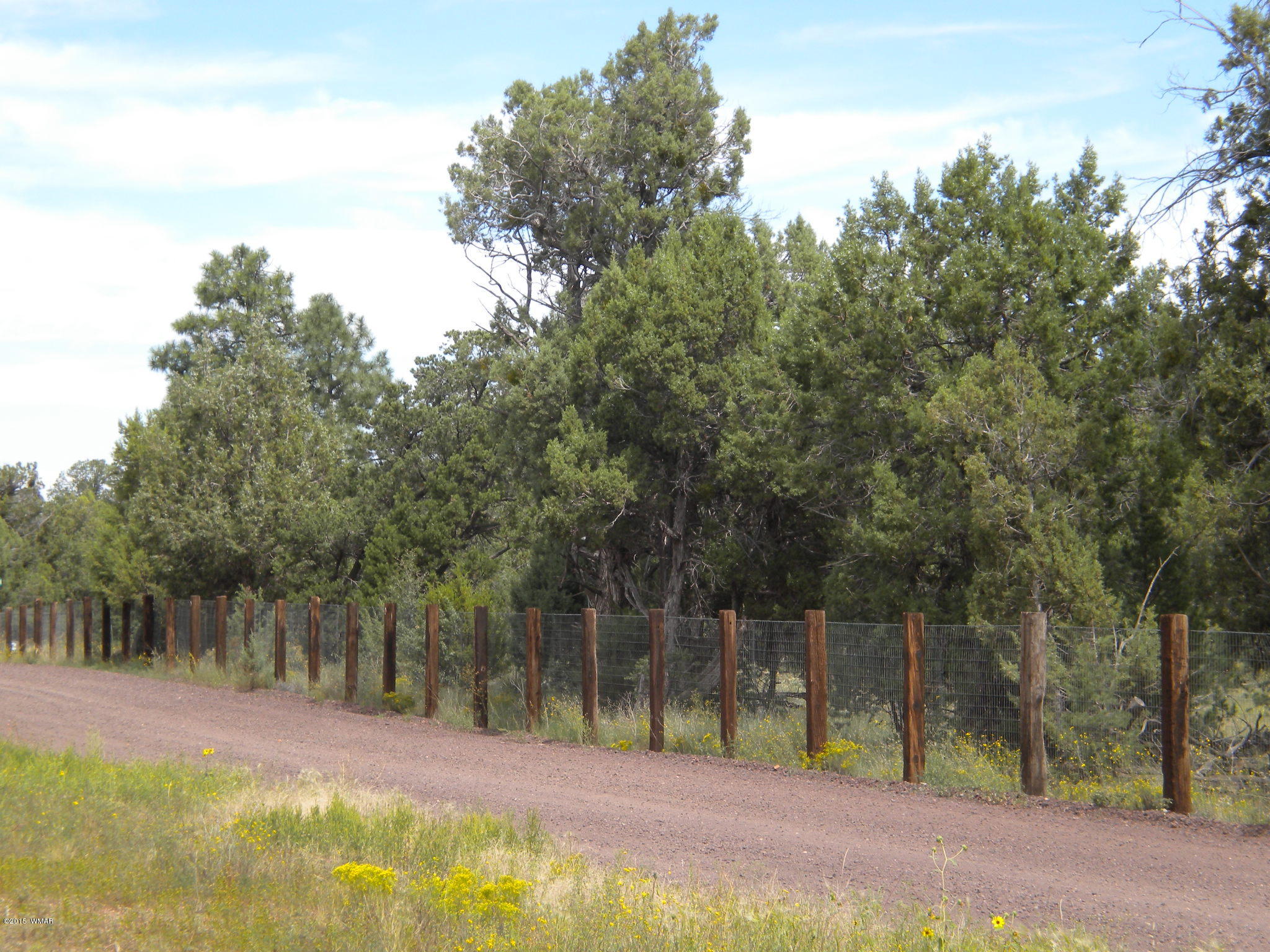 Tbd Tosca Place Pinedale, AZ 85934 - Photo 13 of 28