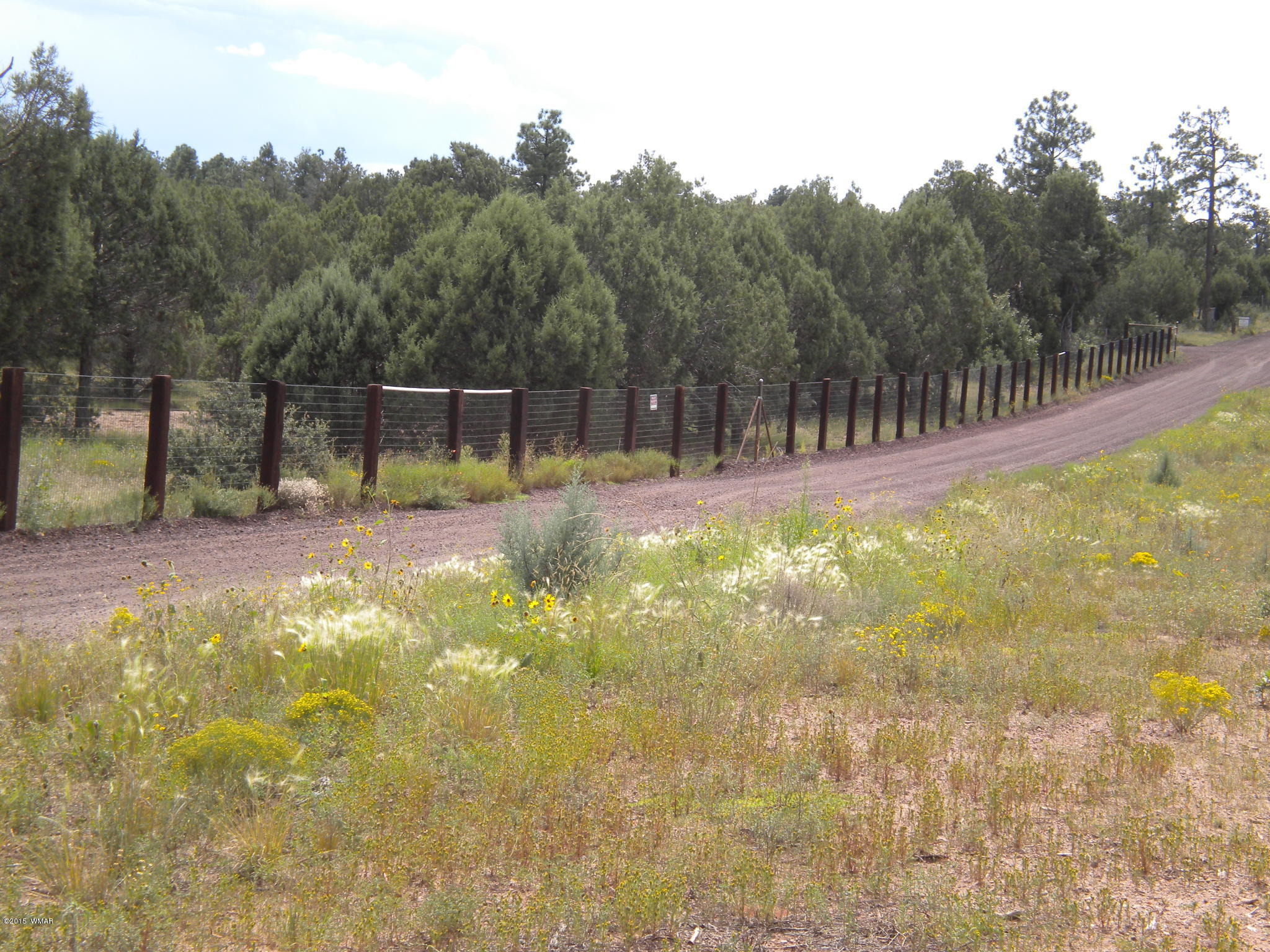 Tbd Tosca Place Pinedale, AZ 85934 - Photo 14 of 28