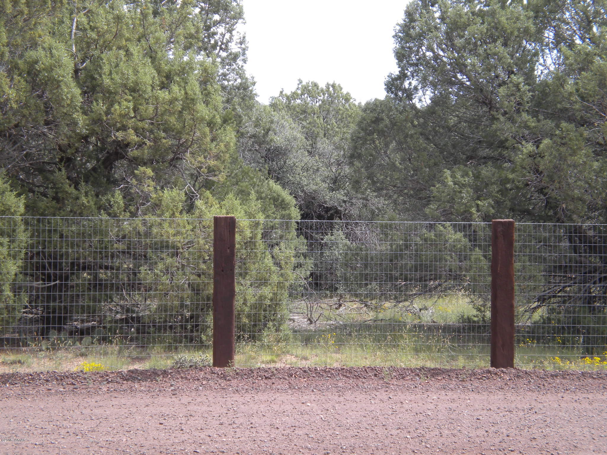 Tbd Tosca Place Pinedale, AZ 85934 - Photo 15 of 28