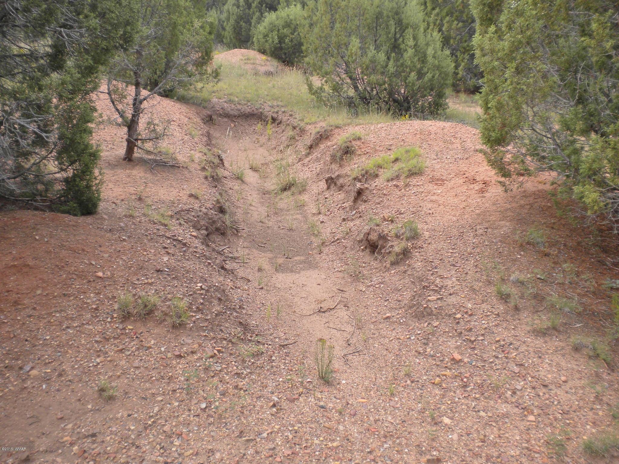 Tbd Tosca Place Pinedale, AZ 85934 - Photo 17 of 28