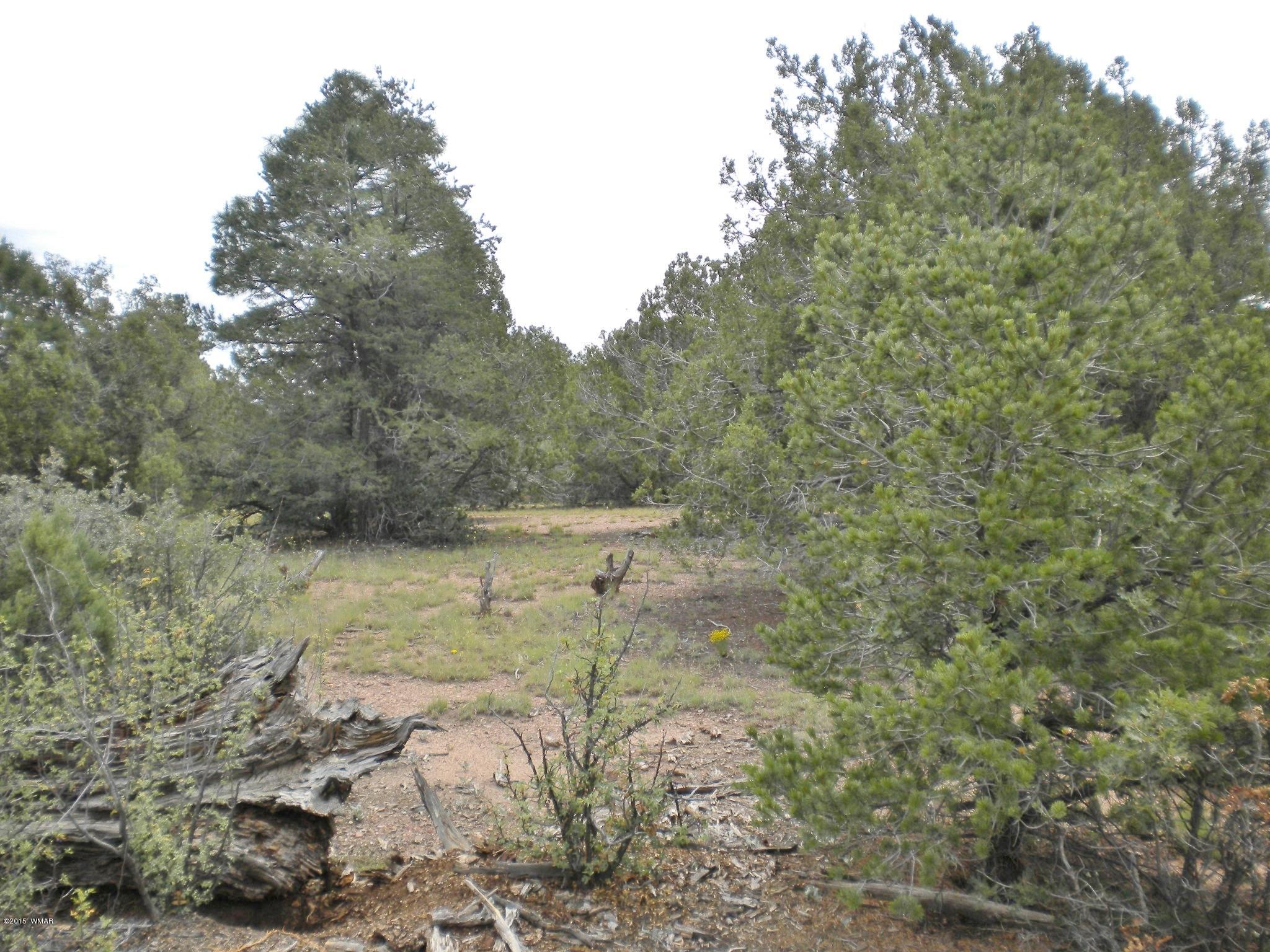 Tbd Tosca Place Pinedale, AZ 85934 - Photo 18 of 28