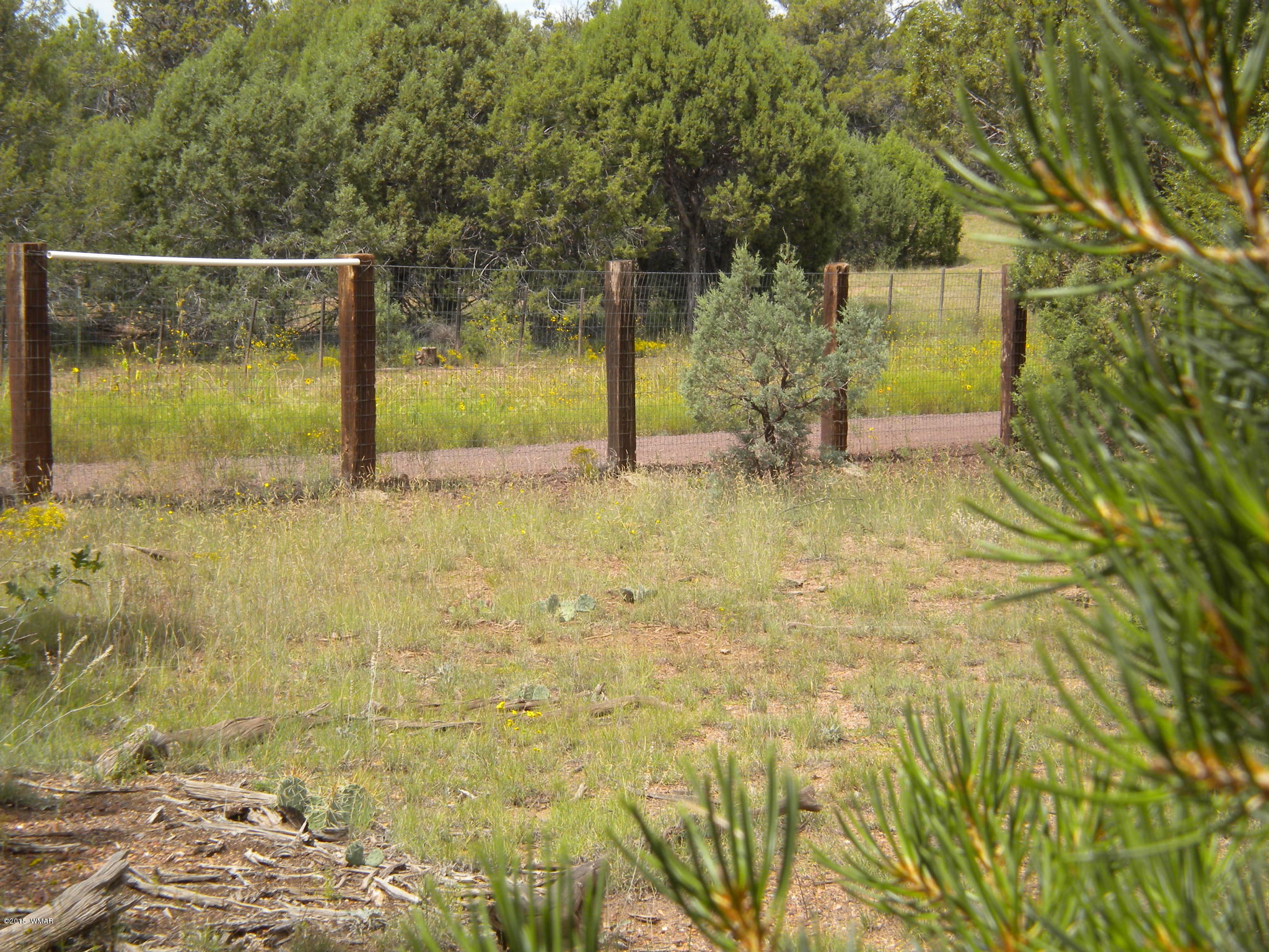 Tbd Tosca Place Pinedale, AZ 85934 - Photo 20 of 28