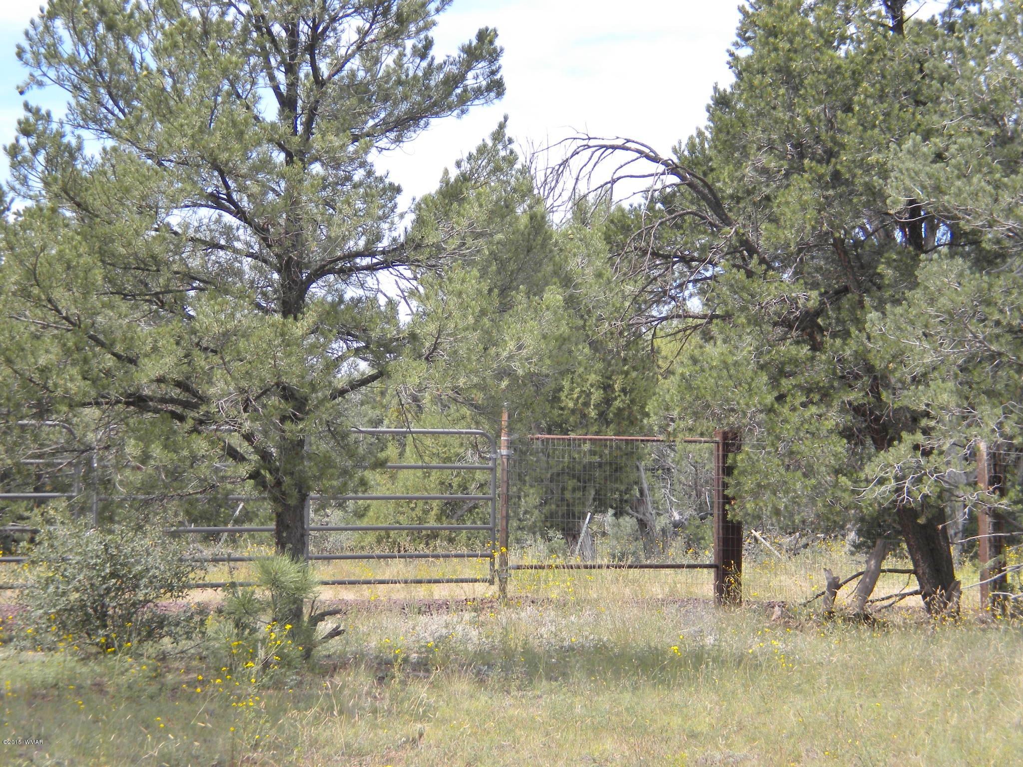 Tbd Tosca Place Pinedale, AZ 85934 - Photo 23 of 28