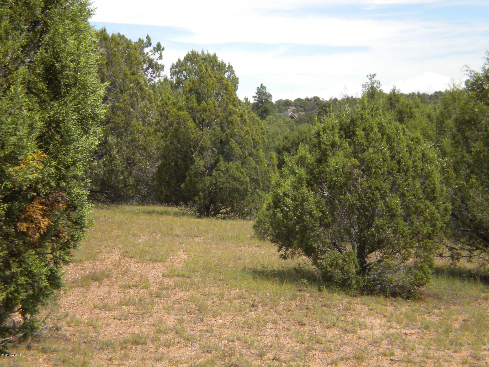 Tbd Tosca Place Pinedale, AZ 85934 - Photo 24 of 28