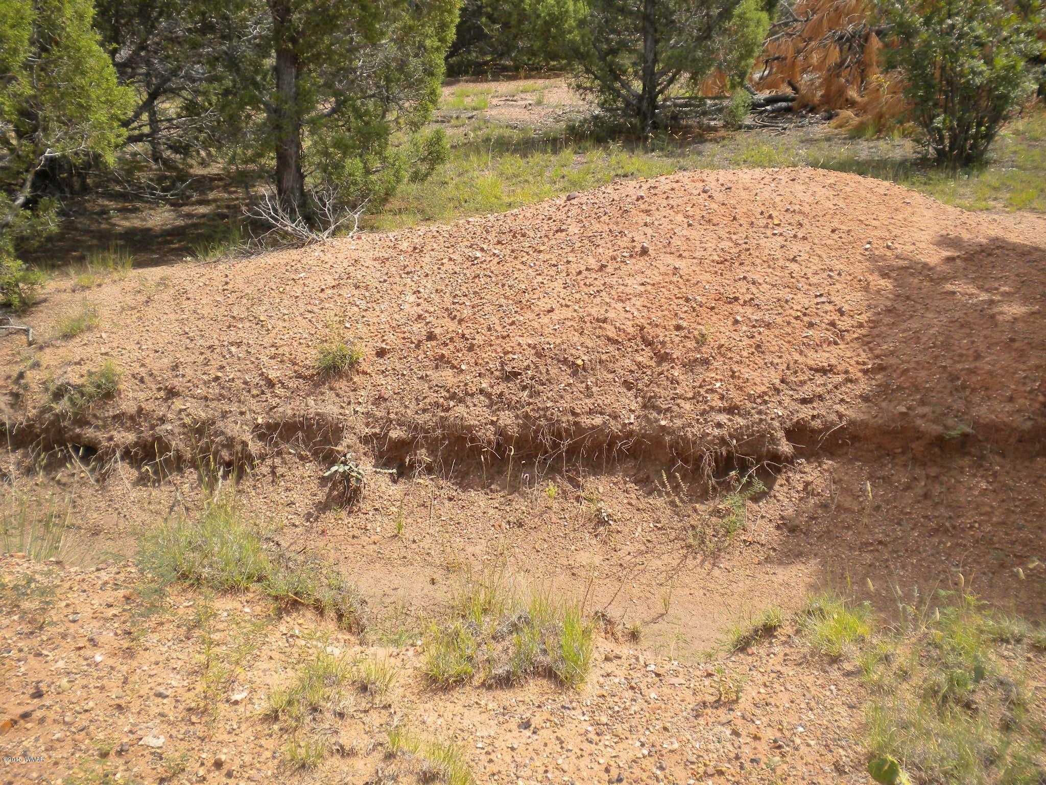 Tbd Tosca Place Pinedale, AZ 85934 - Photo 26 of 28