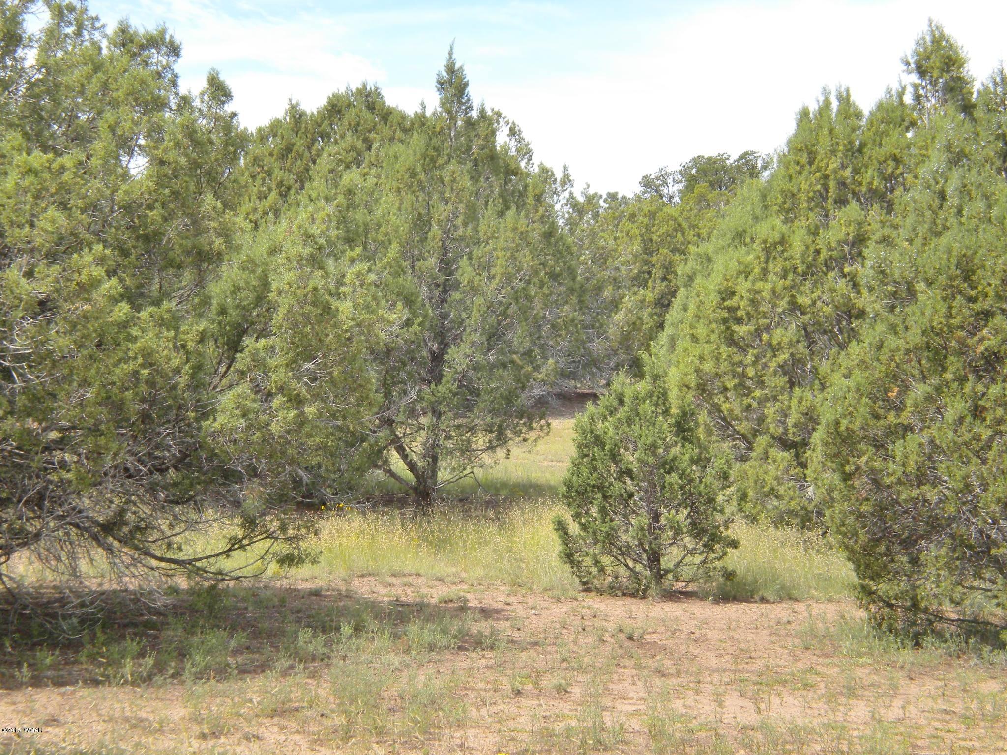 Tbd Tosca Place Pinedale, AZ 85934 - Photo 27 of 28