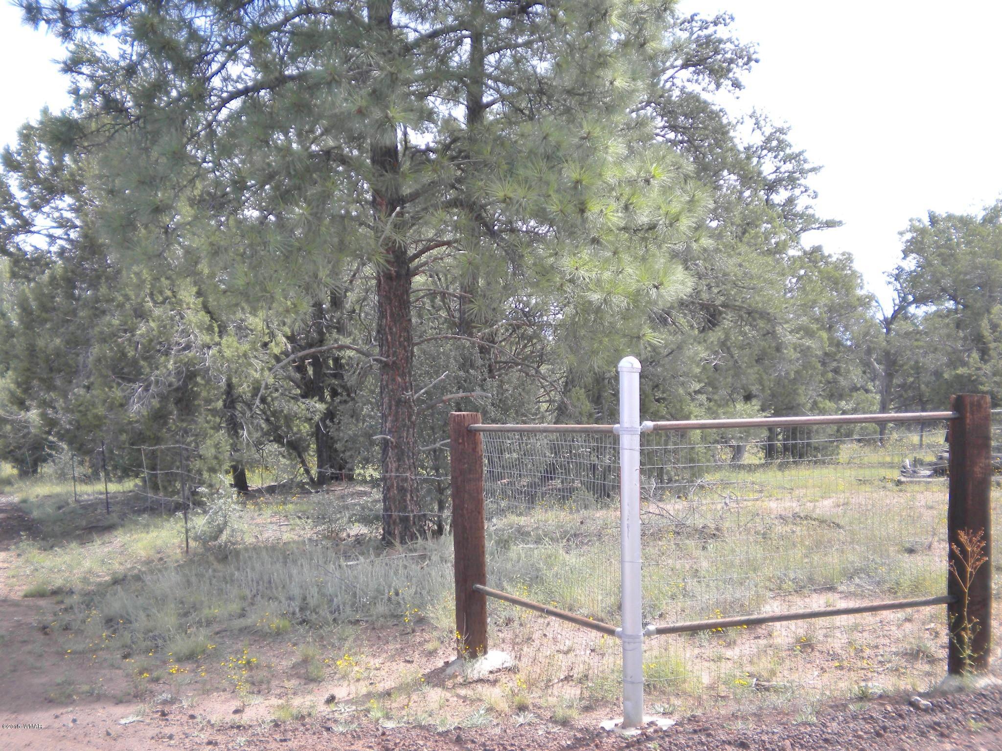 Tbd Tosca Place Pinedale, AZ 85934 - Photo 4 of 28