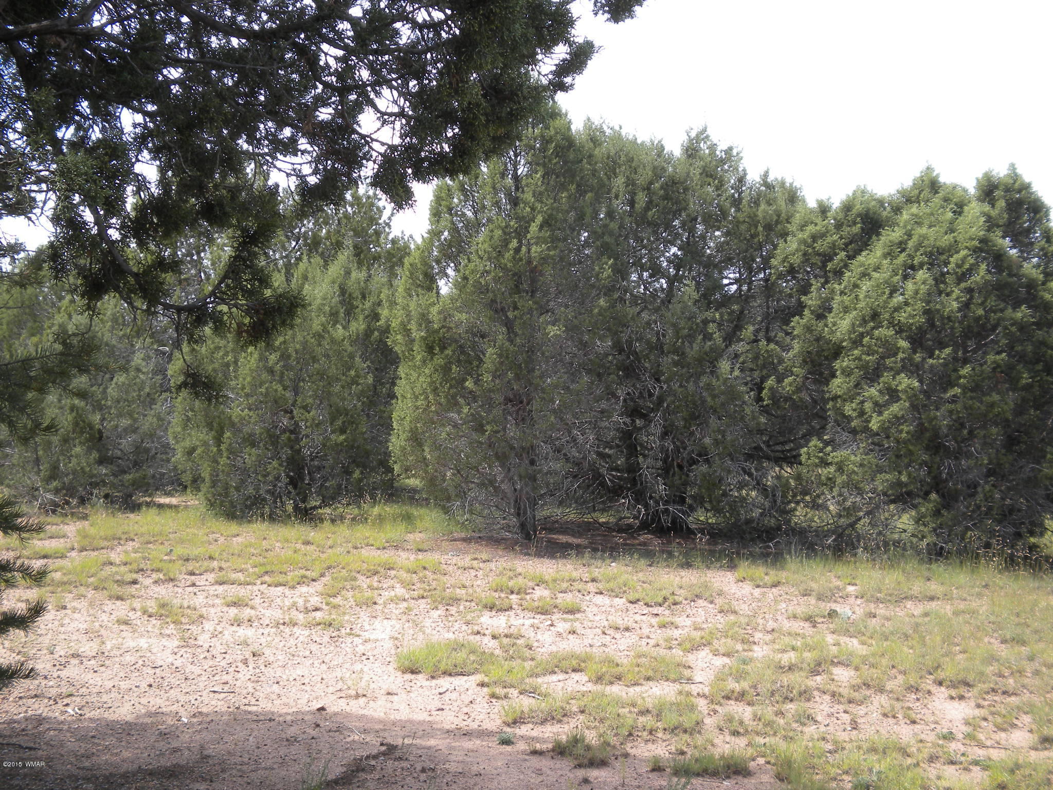 Tbd Tosca Place Pinedale, AZ 85934 - Photo 6 of 28