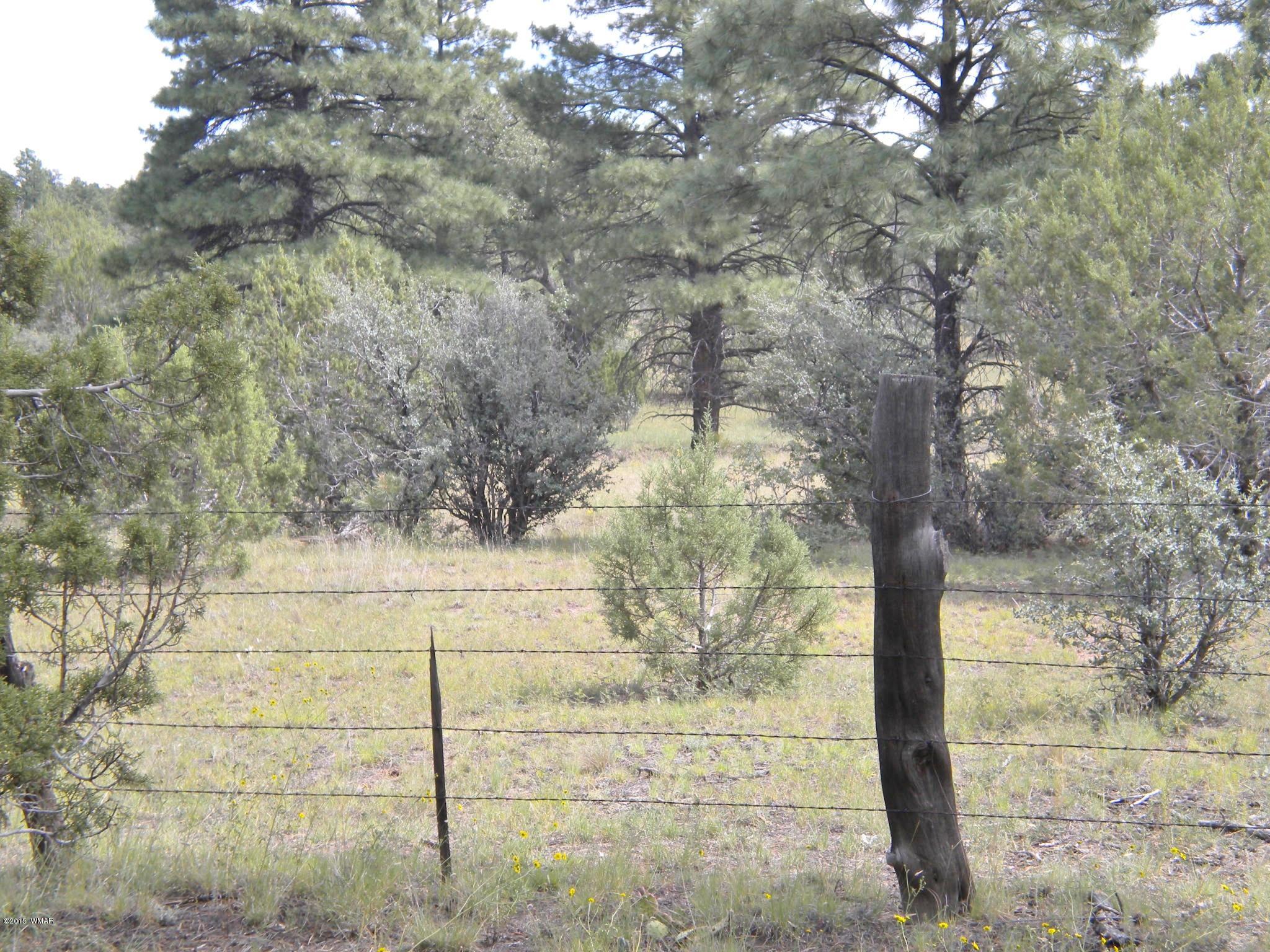 Tbd Tosca Place Pinedale, AZ 85934 - Photo 7 of 28