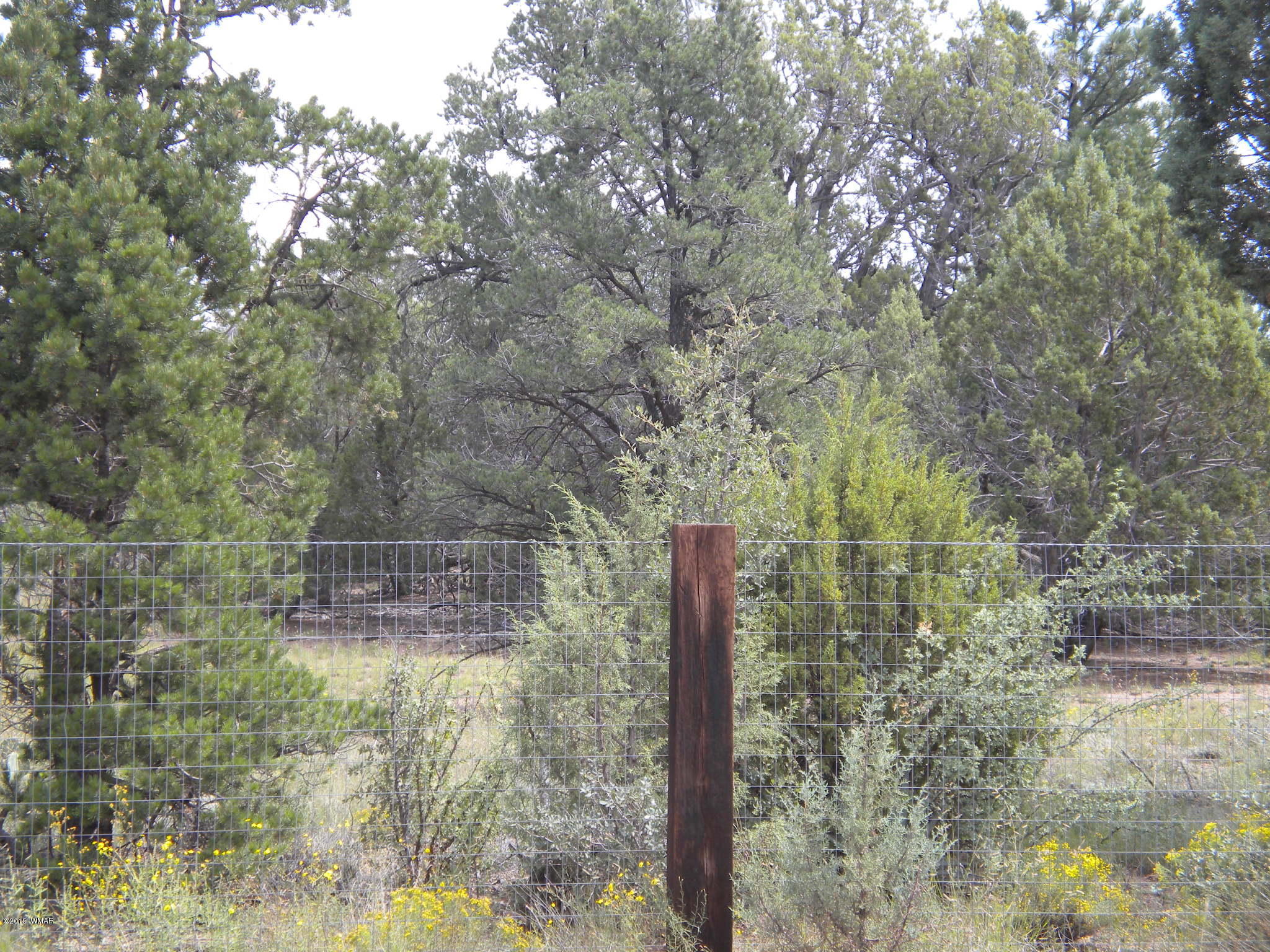 Tbd Tosca Place Pinedale, AZ 85934 - Photo 10 of 28