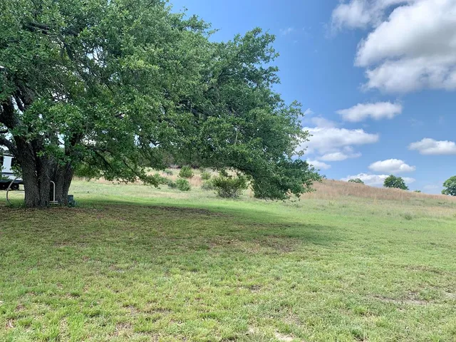 a big yard with lots of green space