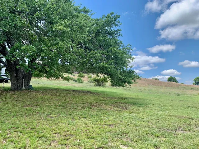 a big yard with lots of green space