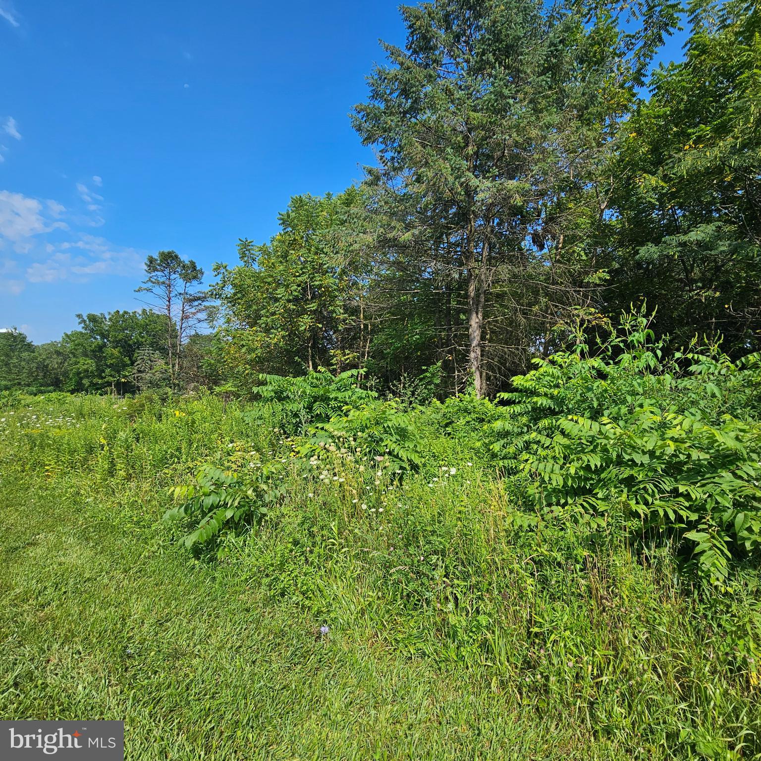 Kimmerlings Road, Unit 104 Lebanon, PA 17046 - Photo 1 of 3 Beautiful lot