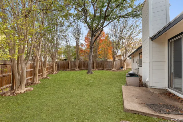 a backyard of a house with plants and large tree