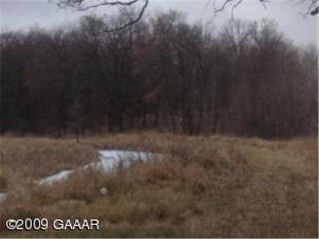 Pheasant Hill Road Northeast Osakis, MN 56360 - Photo 1 of 7 Gallery Image 1