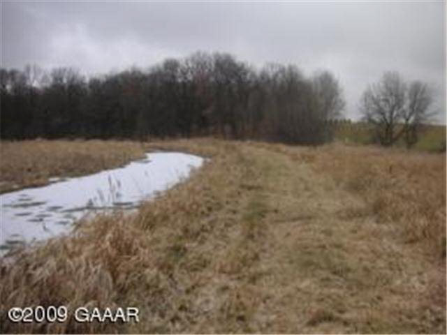 Pheasant Hill Road Northeast Osakis, MN 56360 - Photo 3 of 7 Gallery Image 3