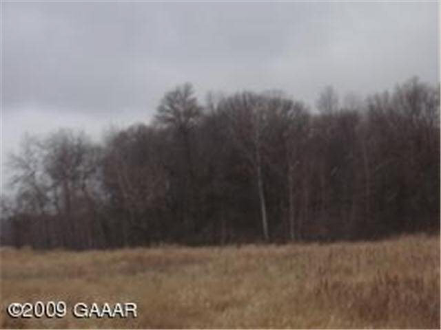 Pheasant Hill Road Northeast Osakis, MN 56360 - Photo 6 of 7 Gallery Image 6