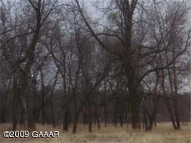 Pheasant Hill Road Northeast Osakis, MN 56360 - Photo 7 of 7 Gallery Image 7